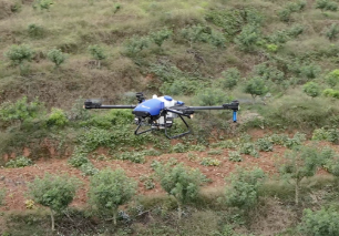 Sichuan Peppercorn 10% Increase in Production Using EAVISION Agricultural Drones