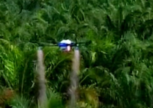 Chinese Agricultural Drones, Go To Southeast Asia To Spray!