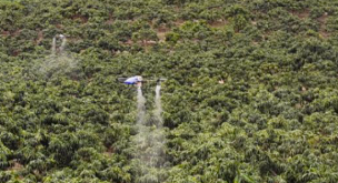Agricultural Materials Suppliers in The Fruit Tree District Transform into Agricultural Drone Services