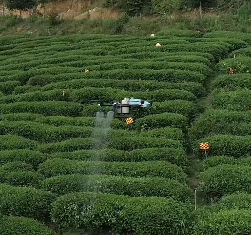 EAVISION Tea Garden Plant Protection Demonstration