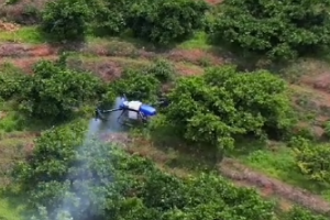 Spraying Fruit Trees With Drones, Will This Be A New Breakthrough For EAVISION Agricultural Drones?
