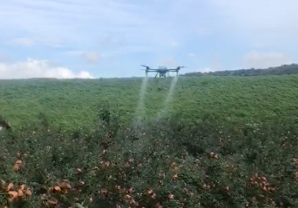 How to Increase The Efficiency of Apple Plant Protection By 80%? EAVISION New Technology for Spraying Fruit Trees