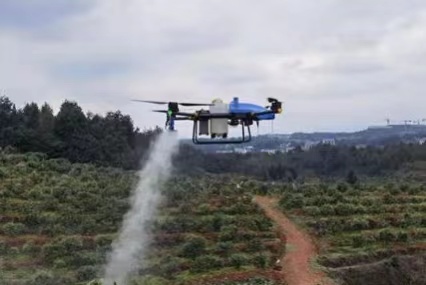 Hunan Hilly Fruit Tree Use Drone To Plant Protection