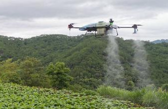 EAVISION Agricultural Plant Protection Drone Spray in Tobacco Fields