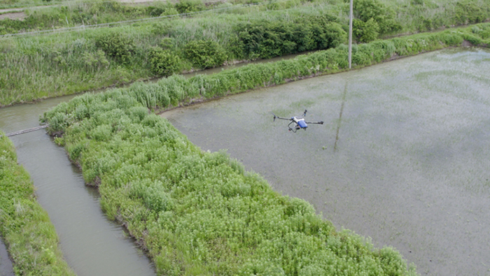 Heilongjiang | Rice Operation Opens a New Era of Agriculture for One Household and One Machine