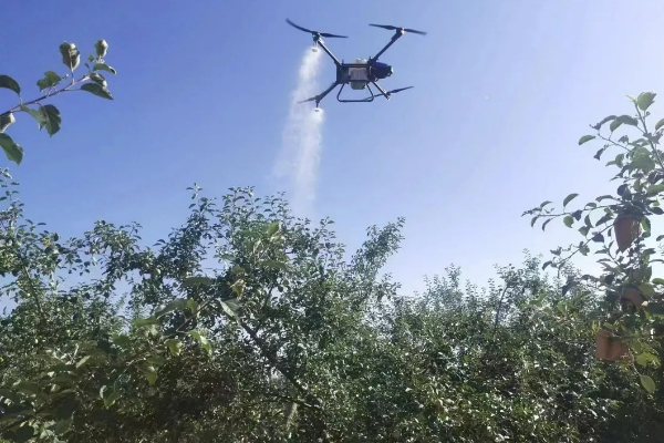 Eavision helps in Mountain Apple Orchard Aerial Control