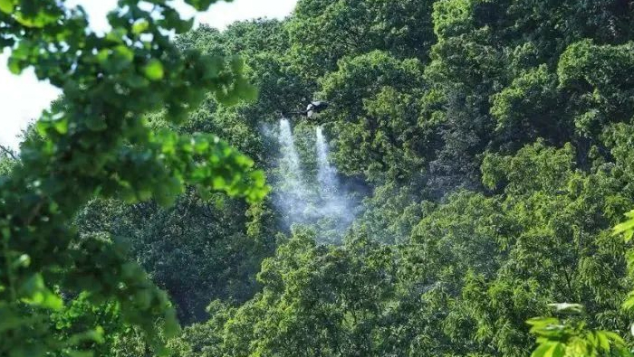 Zero breakthrough! EAvision completes the first drone intelligent pollination of Lin'an Pecan