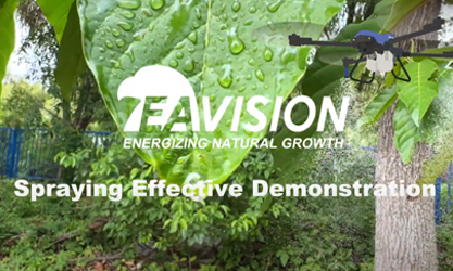 EAVISION Drone Spraying Effective Demonstration