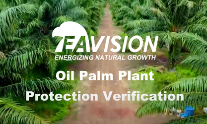 Drone Sprayer Oil Palm Plant Protection Verification
