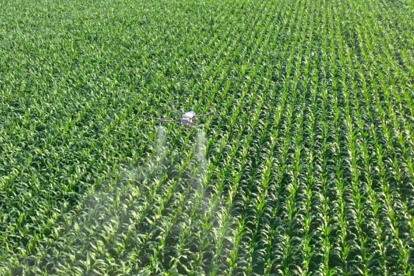 Safeguarding 80,000 mu of prime farmland, boosting yields, and launching a pioneering new venture