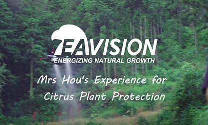 Mrs Hou's Experience for Citrus Plant Protection