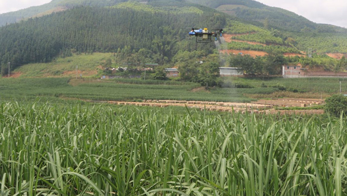 EAvision intelligent agricultural drones have remarkable effects on sugarcane flying prevention!
