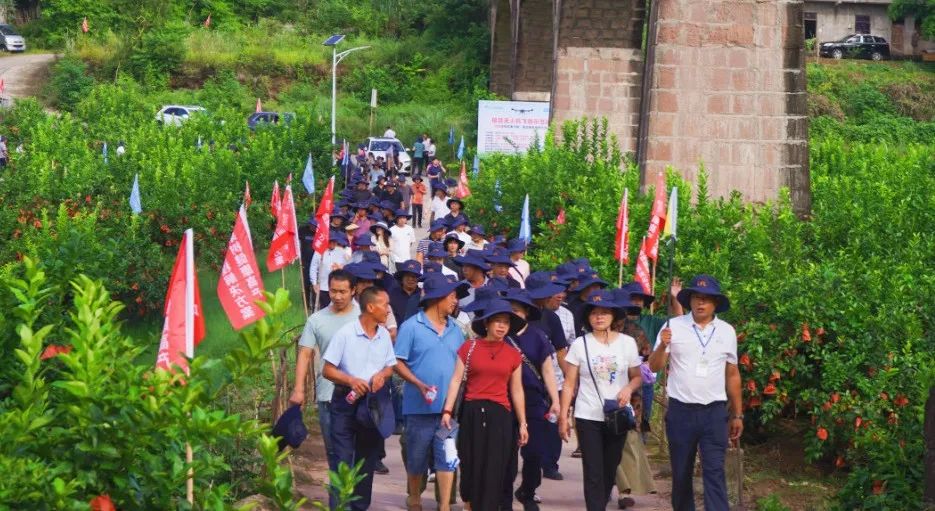 First Lemon Pest Control Conference Held in Sichuan, China