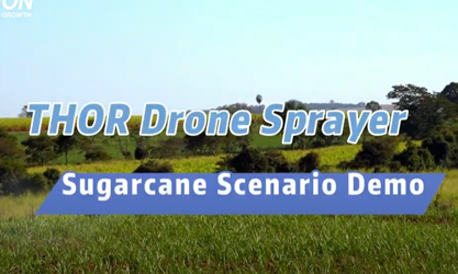 THOR Drone Sprayer for Sugarcane Scenario Demo （Brazil）